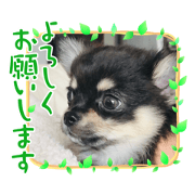 insekiman_20230115092358