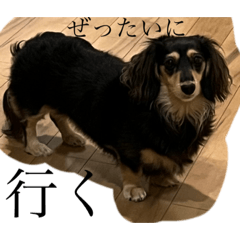 Yukari_20230114220812