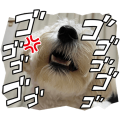 Monaka_20230114220614
