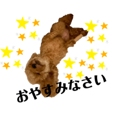 Natsumi_20230114221032