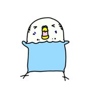 pug maru_20230115111025