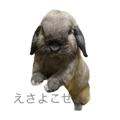 MuginoKimamaniSticker