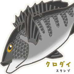 黒鯛（チヌ・クロダイ） 日常と釣り fix