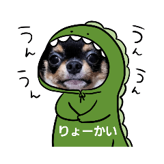 misa_20230115141447