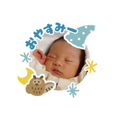 Shiho_20230115143908