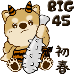 【Big】ちゃちゃ丸たち 45『初春』