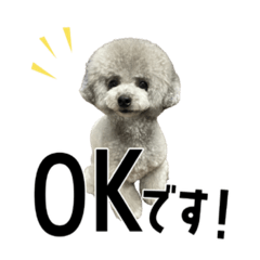 Natsumi_20230115155957