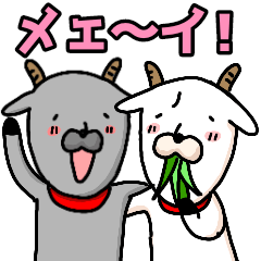 White goat and Black goat, Meme & Kurome