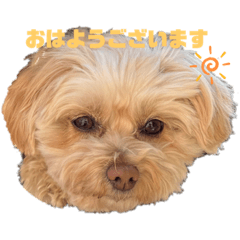 YUKA_20230115180435
