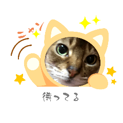 Qmin_20230116060210