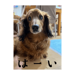 aoi_20230115183859