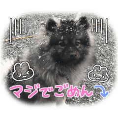 saori_20230115184503