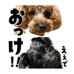 Achi_20230115200746