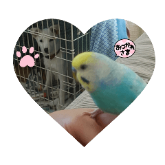 saya_202301152059071