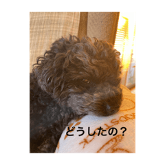kana_20230115215431
