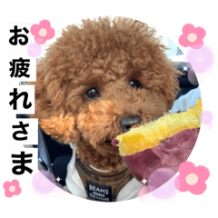 chisa_20230115215912