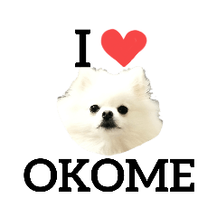 vernis_20230115220019