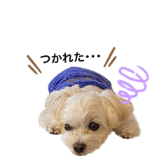 mizuki_20230115231945