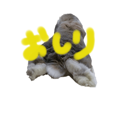 kinaco_20230115223127