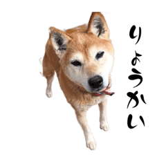 tom_20230115232436