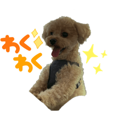 hana_20230116001310