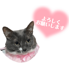 YUKA_20230116000810