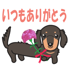 all season dachshund sticker