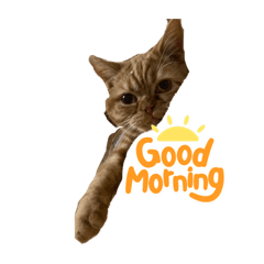 相子丸のスタンプ