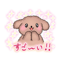 toy poodle Sticker hunwari 6