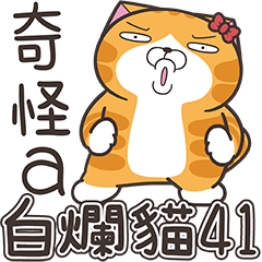 ランラン猫 41 (台湾版)