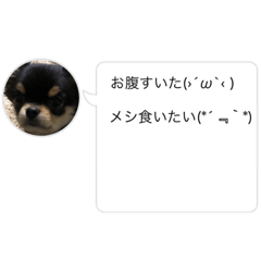 YUTO_20230117065526