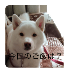 HIKARI_20230116223112