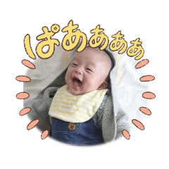 shiho_20230116162927