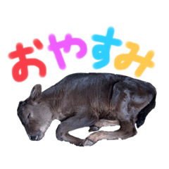 Natsumi_20230116214629