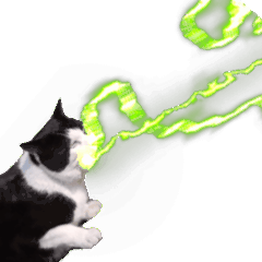 Cat Laser Beam 2