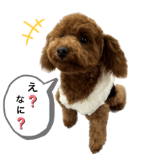 ruru_20230116223429
