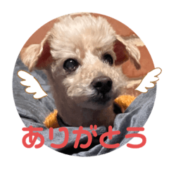 yamato&mugi_20230117005141