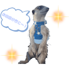 natsumi_20230117123805