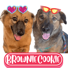 WOOFME WITH BROWNIECOOKIE