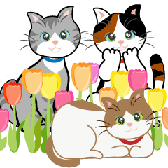 A spring day full of cats and flowers