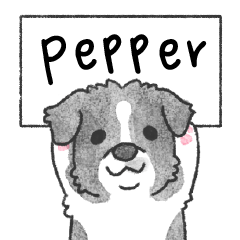 bordercollie_pepper