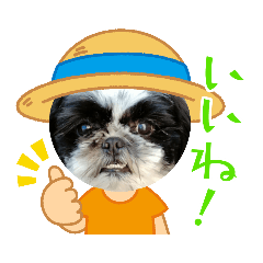 omochi_20230117175034