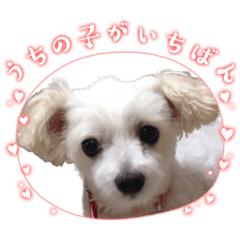 mizuki_20230117153301