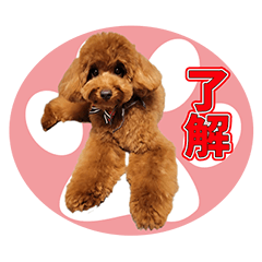 MALONCHAN--STICKER