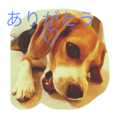 hana_20230117205914