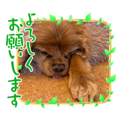 suzu_20230117223753