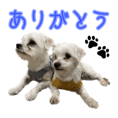 arisa_20230117221423