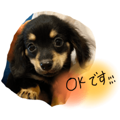 Hiyori_20230118005153