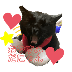 hikari_20230117222930