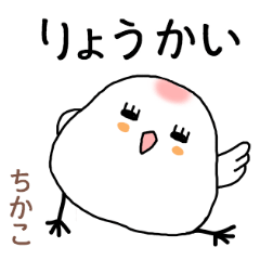 chikako the world of birds